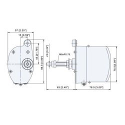 Viskermotor forkrommet