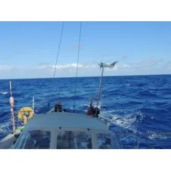 Rutland 1200 Vindgenerator 