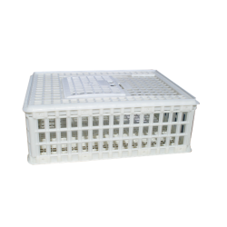 Sanketeine - hvit plast-ypperlig til hummer.