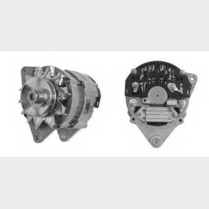 Dynamo IA 0832 - MALE MG 159