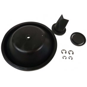 Whale Gusher Urchin Rep.Sett Neopren