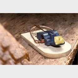 Musefelle Super Cat tre 2pk Swissinno