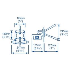 Whale Gusher Urchin Skottmontert 