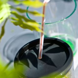 Silwy Lokk til Drikkeglass 2stk Sorte