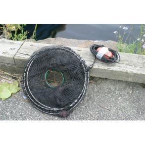 Teine, sammenleggbar for fisk og krabber