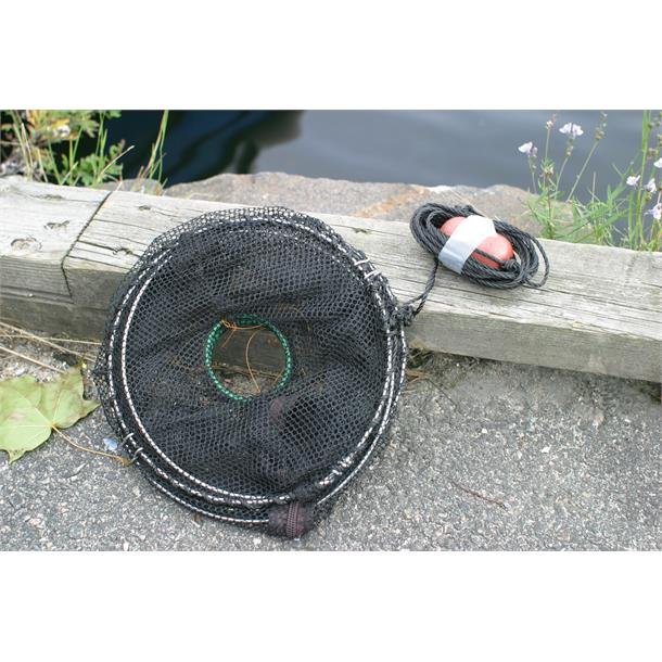 Teine, sammenleggbar for fisk og krabber