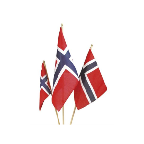 25 stk ,17. Mai flagg 20x28 cm