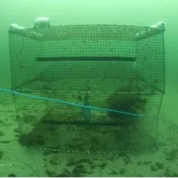 Torsketeine 120x80 cm