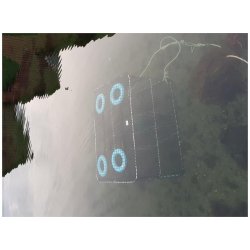 Fisketeine 95-65-80CM Havteine