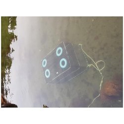 Fisketeine 95-65-80CM Havteine