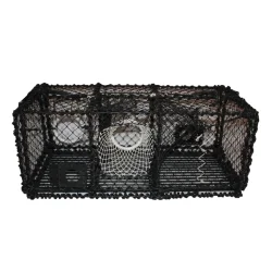 Hummerteine Fritidsfiske 10kg 