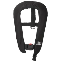 Baltic Winner Auto Sort