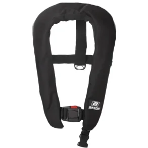 Baltic Winner Auto Sort