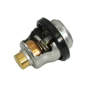 SUZUKI Termostat DF9,9-DF70