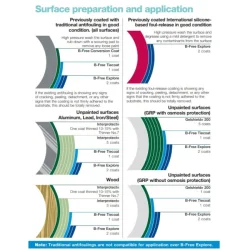 International B-free Explore