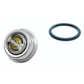 Orbitrade Termostatsett 60 2001/2002/2003 - 15779 