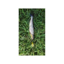 Tasmanian Devil N55 Pink Panther