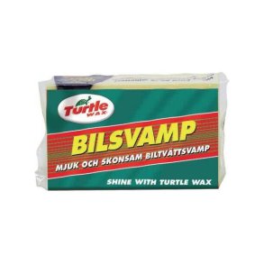 Turtle Svamp Uten spe